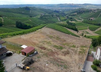 Foto 15 - Terreno edificabile Località Trifolera, Barbaresco - foto 15