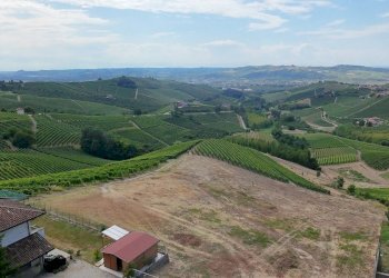 Foto 16 - Terreno edificabile Località Trifolera, Barbaresco - foto 16