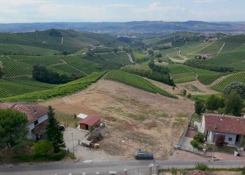 Foto 17 - Terreno edificabile Località Trifolera, Barbaresco - foto 17