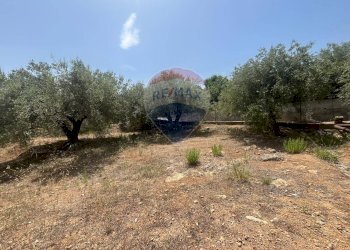 Giardino - Terreno edificabile Via San Michele, Trabia - foto 3