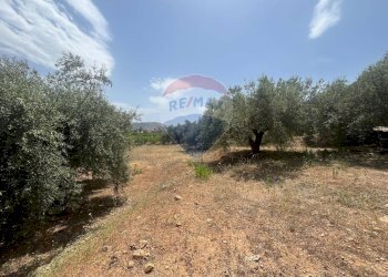 Giardino - Terreno edificabile Via San Michele, Trabia - foto 4