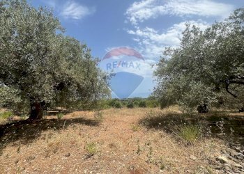 Giardino - Terreno edificabile Via San Michele, Trabia - foto 7