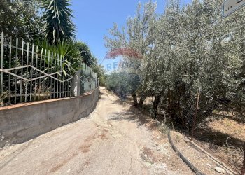 Giardino - Terreno edificabile Via San Michele, Trabia - foto 10