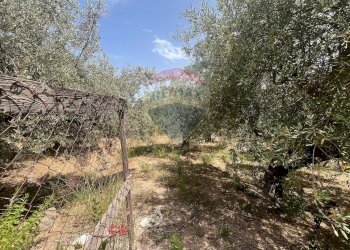 Giardino - Terreno edificabile Via San Michele, Trabia - foto 11