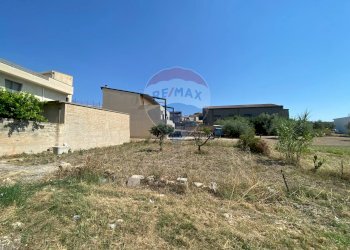 Giardino - Terreno edificabile Via Carlo Lineo, Mazzarrone - foto 2