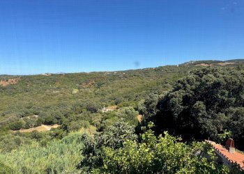 Foto 21 - Casa semi indipendente VIA VITTORIO EMANUELE
 
46, Luogosanto - foto 21