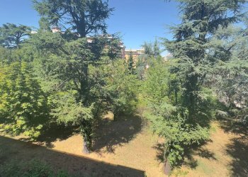 \nFoto 20\n - Appartamento Via Gramsci
 
71, Fidenza - foto 20