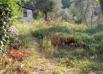 Foto 14 - Trilocale Frazione Villarelli, Stellanello - foto 12