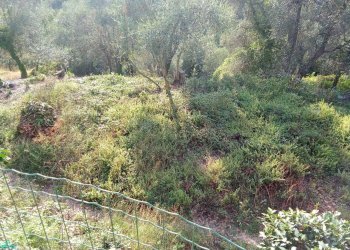 Foto 15 - Trilocale Frazione Villarelli, Stellanello - foto 13