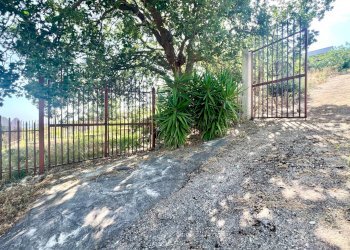 Foto 28 - Villa Contrada Torretta, Via Baucina
 
S.N.C, Bolognetta - foto 28