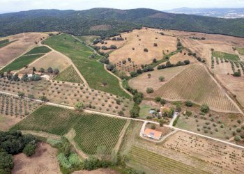 Foto 4 - Farm magliano in toscana, Magliano in Toscana - photo 4