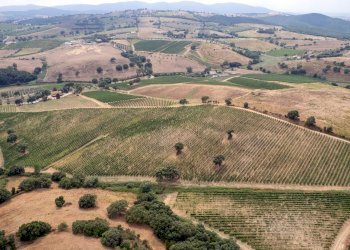 Foto 8 - Farm magliano in toscana, Magliano in Toscana - photo 8