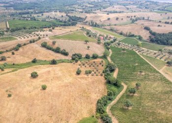 Foto 9 - Farm magliano in toscana, Magliano in Toscana - photo 9
