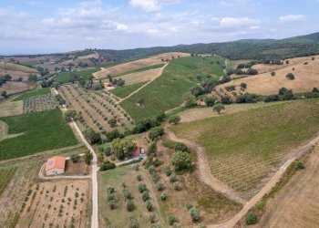 Foto 12 - Farm magliano in toscana, Magliano in Toscana - photo 12