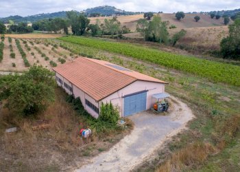 Foto 17 - Farm magliano in toscana, Magliano in Toscana - photo 17
