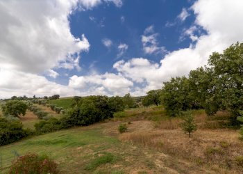 Foto 44 - Farm magliano in toscana, Magliano in Toscana - photo 44
