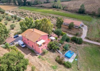 Foto 49 - Farm magliano in toscana, Magliano in Toscana - photo 49