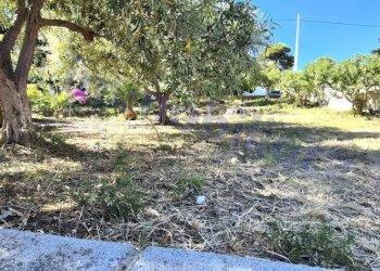 Terreno - Villa SP47, Alcamo - foto 31