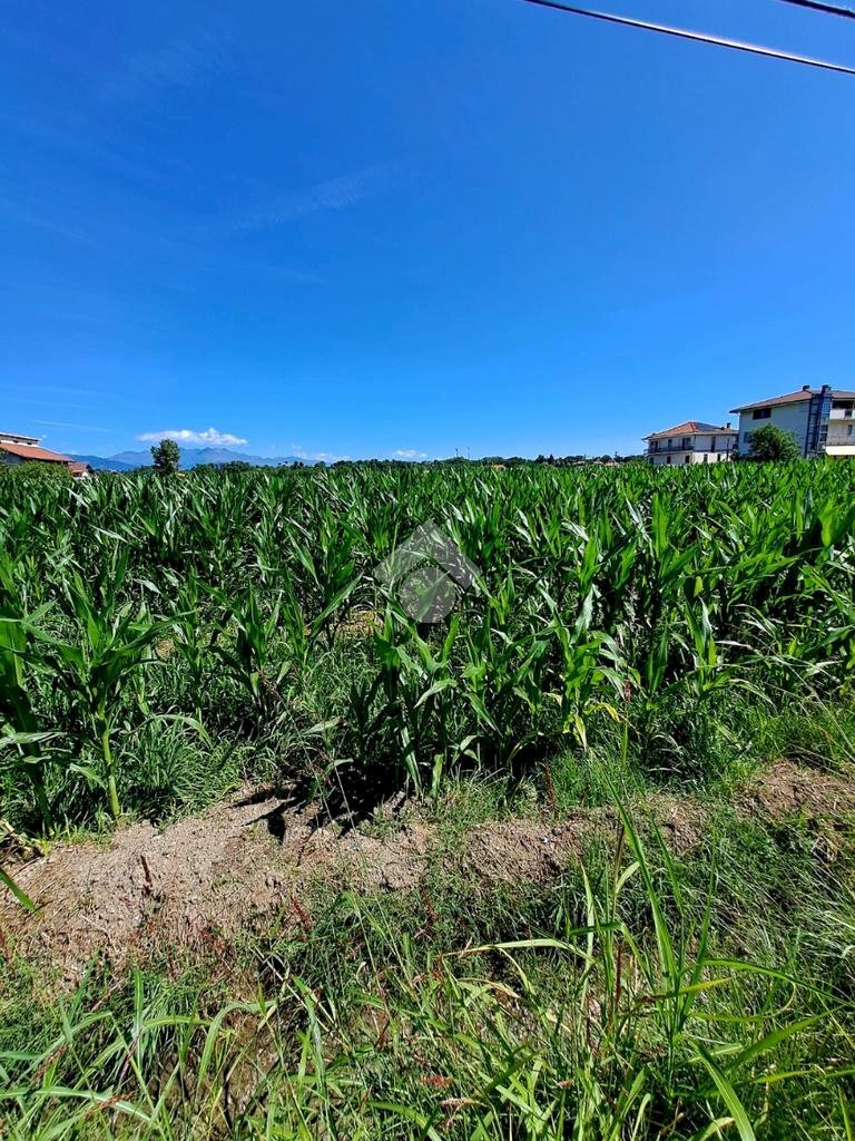 Terreno edificabile Via viola, Ciriè - foto 2