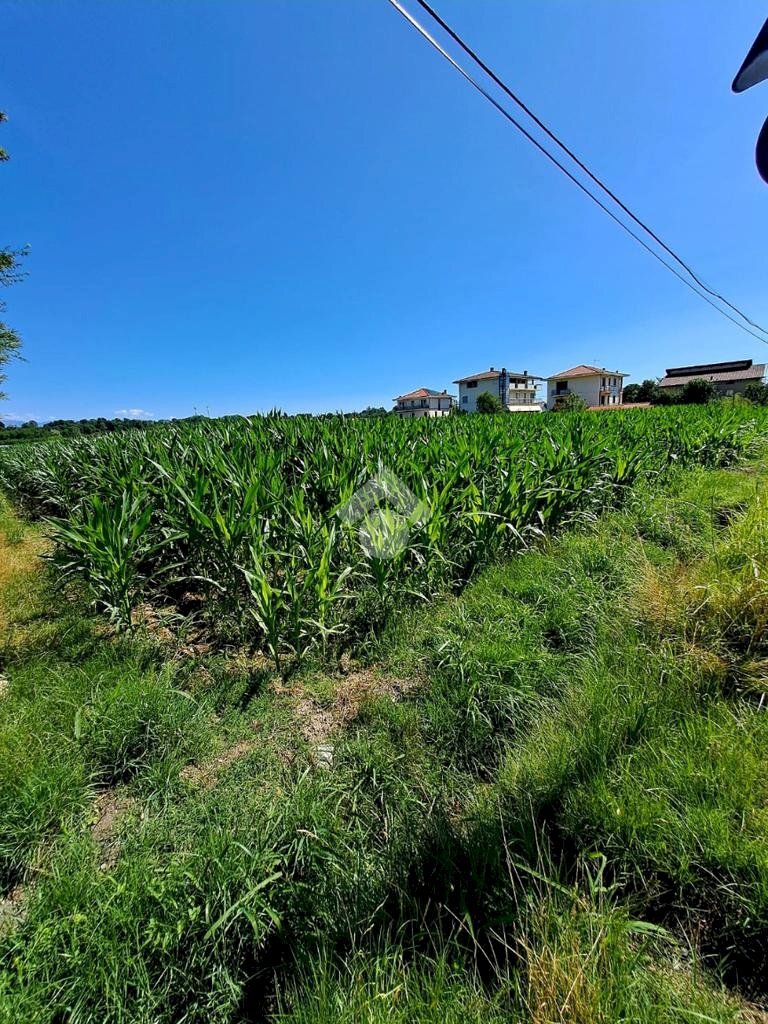Terreno edificabile Via viola, Ciriè - foto 3