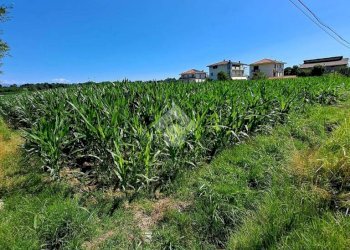 Terreno edificabile Via viola, Ciriè - foto 3