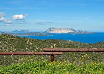 Villa Budoni - foto 11