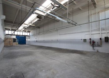 Capannone Calderara di Reno - foto 5