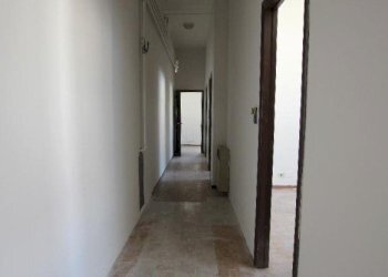 Capannone Calderara di Reno - foto 11