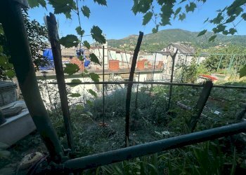 Trilocale via Celesia, Genova (zona Sampierdarena) - foto 33