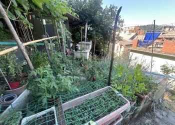 Trilocale via Celesia, Genova (zona Sampierdarena) - foto 34