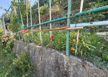 Trilocale via Celesia, Genova (zona Sampierdarena) - foto 37