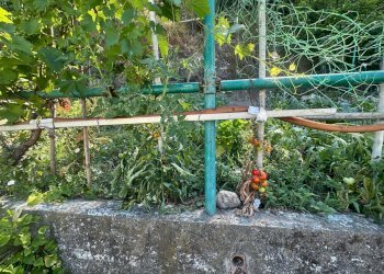 Trilocale via Celesia, Genova (zona Sampierdarena) - foto 38