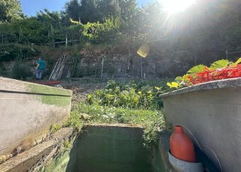 Trilocale via Celesia, Genova (zona Sampierdarena) - foto 39