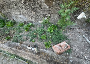 Trilocale via Celesia, Genova (zona Sampierdarena) - foto 40