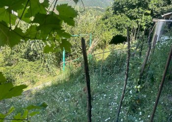 Trilocale via Celesia, Genova (zona Sampierdarena) - foto 49