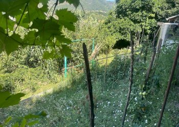 Trilocale via Celesia, Genova (zona Sampierdarena) - foto 50