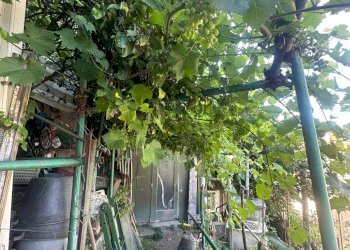 Trilocale via Celesia, Genova (zona Sampierdarena) - foto 51