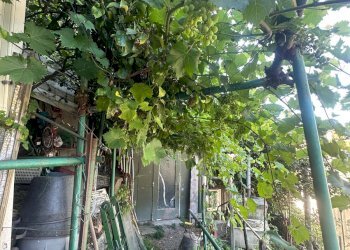 Trilocale via Celesia, Genova (zona Sampierdarena) - foto 52