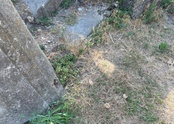 Trilocale via Celesia, Genova (zona Sampierdarena) - foto 53