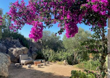 Foto 24 - Villa SAN PANTALEO - VIA STAZZI VADDI LONGA
 
0, Olbia - foto 24