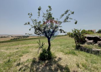 Giardino - Casa semi indipendente Contrada Pili
 
19, Atessa - foto 17