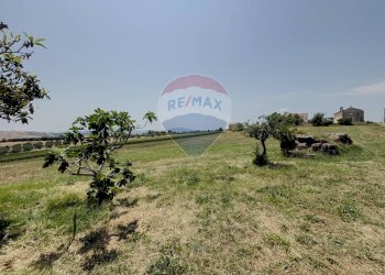 Giardino - Casa semi indipendente Contrada Pili
 
19, Atessa - foto 20