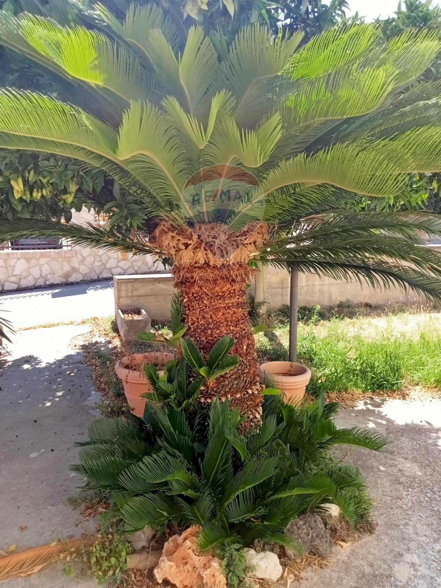 Giardino - Casa indipendente Contrada Sant'Amato
42, Lanciano - foto 3