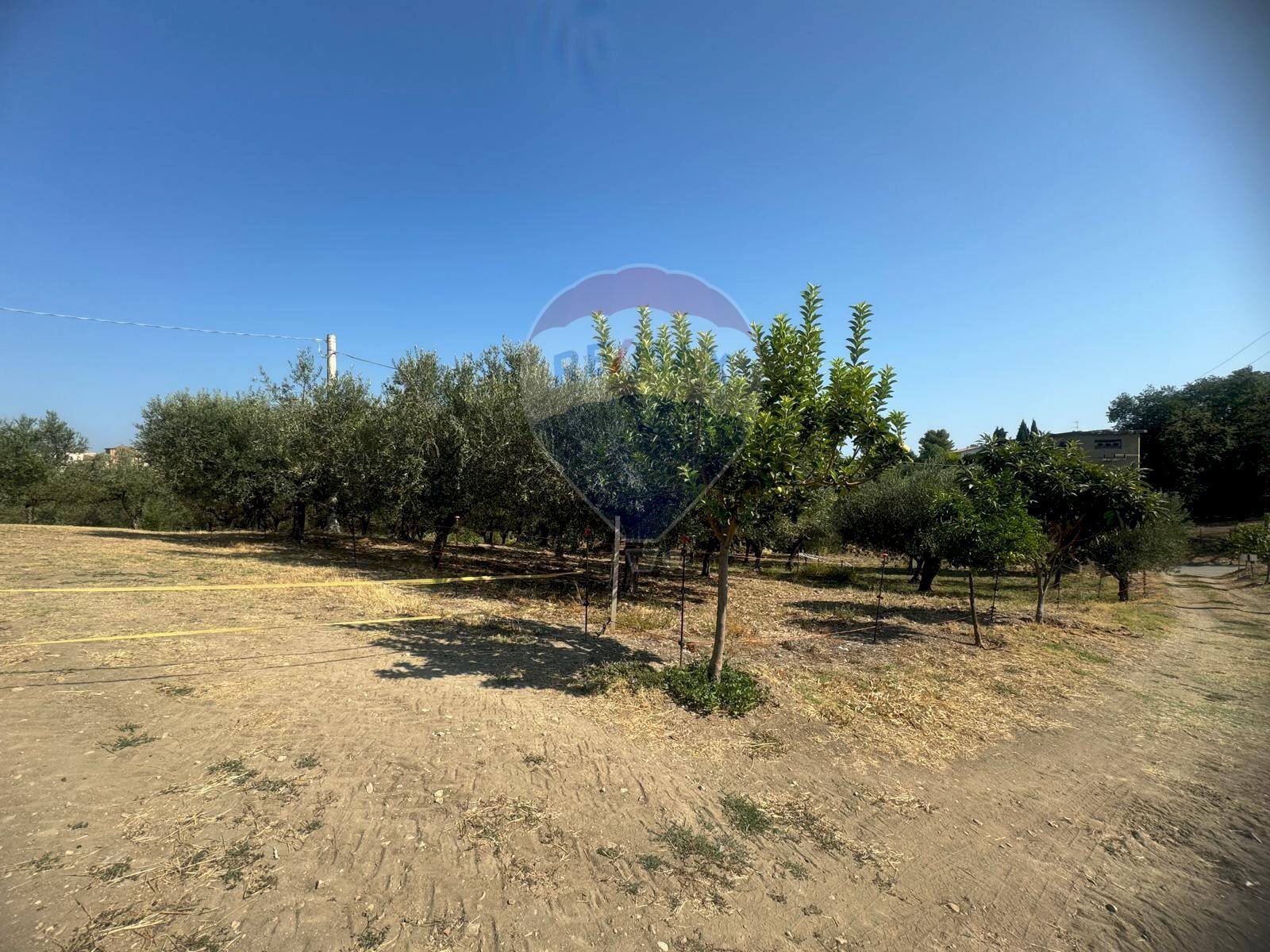 Foto 2 - Terreno edificabile Paglieta - foto 2