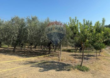 Foto 1 - Terreno edificabile Paglieta - foto 1