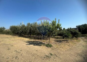 Foto 2 - Terreno edificabile Paglieta - foto 2