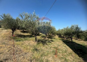 Foto 5 - Terreno edificabile Paglieta - foto 5