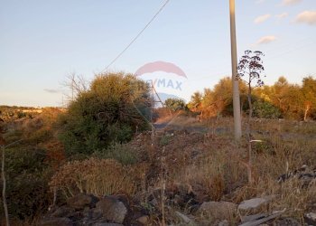 Giardino - Terreno edificabile Contrada Sciare Vignale, Belpasso - foto 14