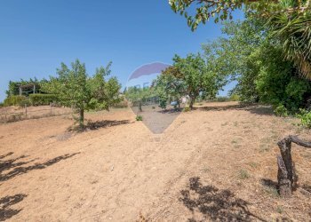 Giardino - Villa Via Giuseppe Garibaldi
 
183, Caltagirone - foto 15