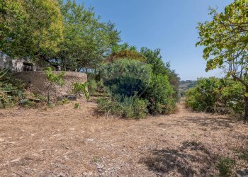 Giardino - Villa Via Giuseppe Garibaldi
 
183, Caltagirone - foto 16